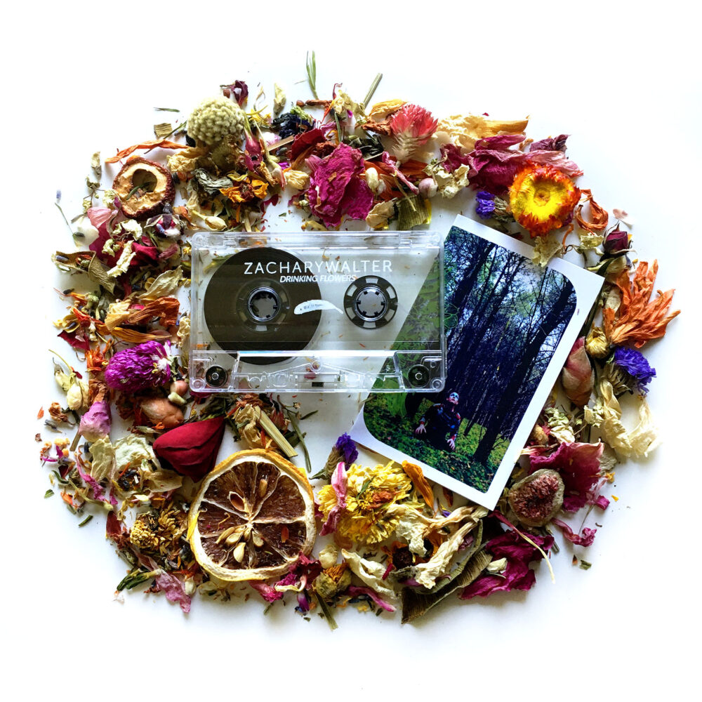 Zachary Walter - Drinking Flowers - Image 2