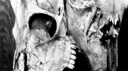 Black Mass XXVI
