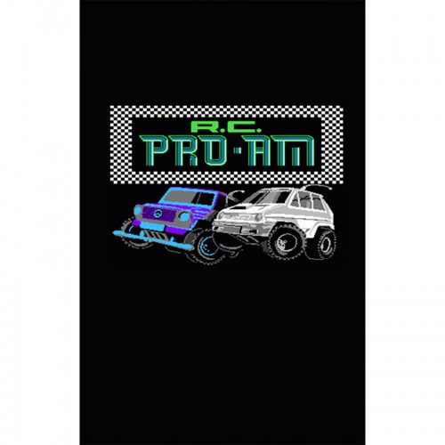 AAX-045 : NES - R.C. Pro Am