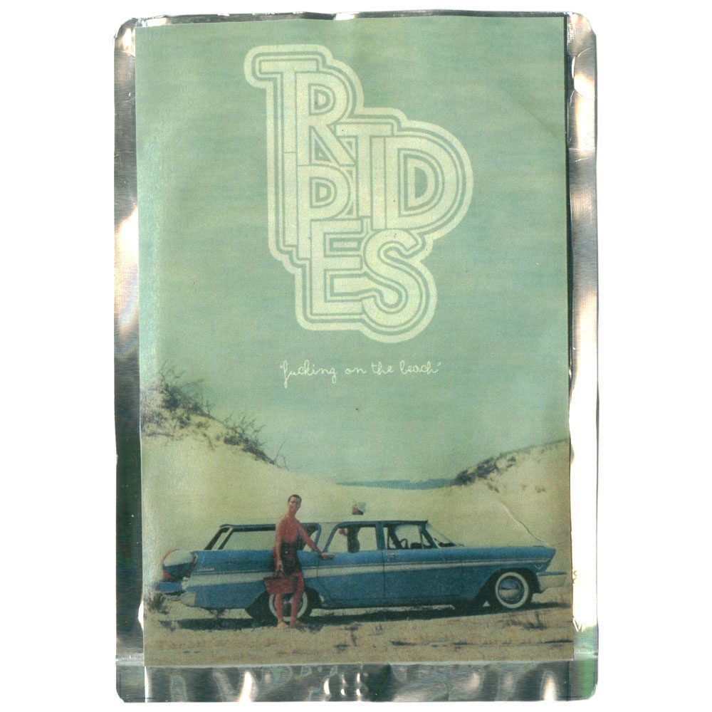Triptides - Fucking on the Beach