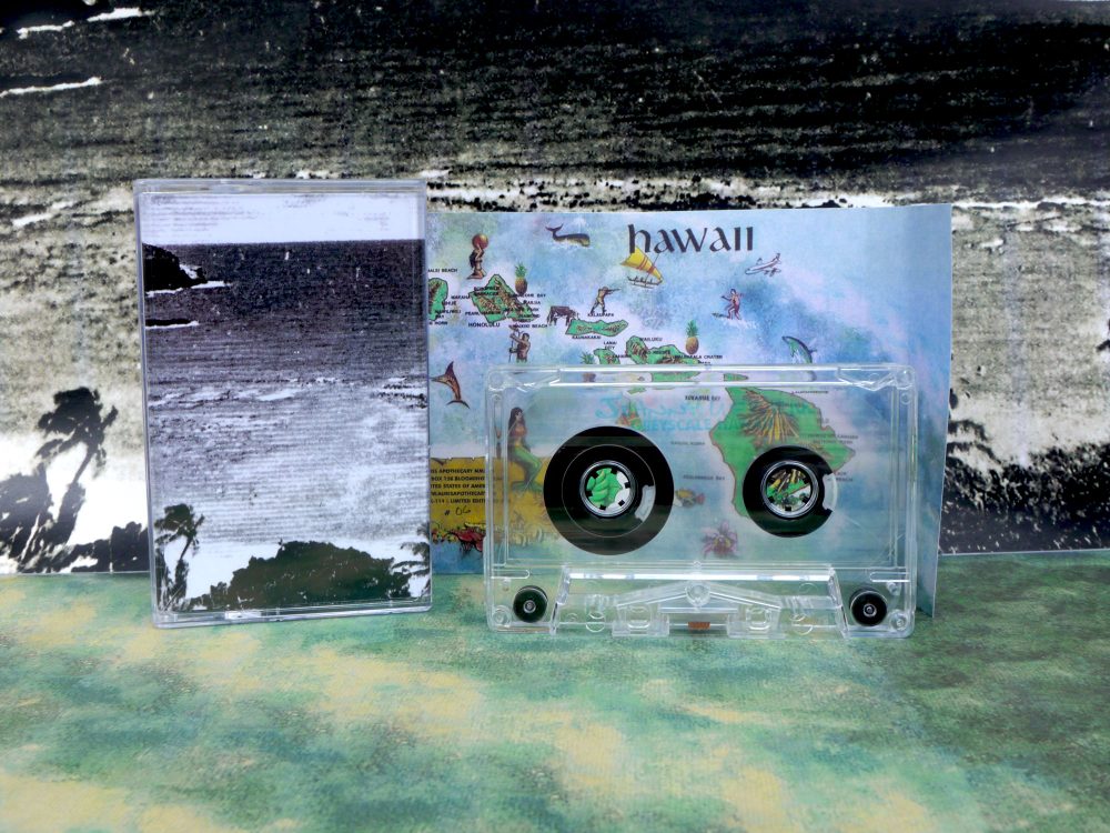 Johnny Uekem - Greyscale Hawaii - Image 2