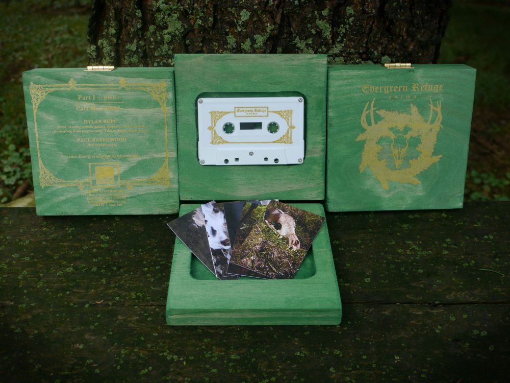 Evergreen Refuge - Anima - Image 2