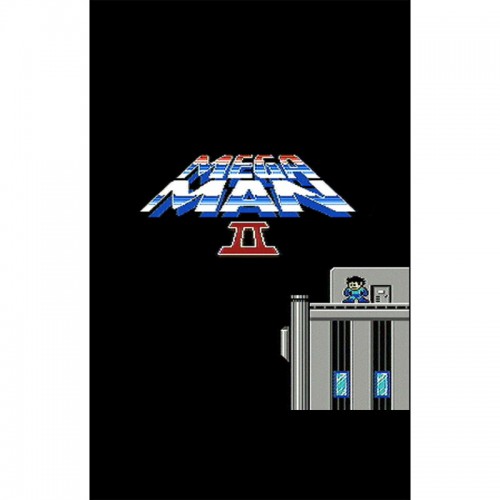 AAX-142 : NES - Mega Man 2