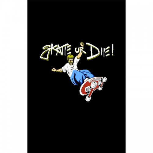 AAX-148 : NES - Skate or Die