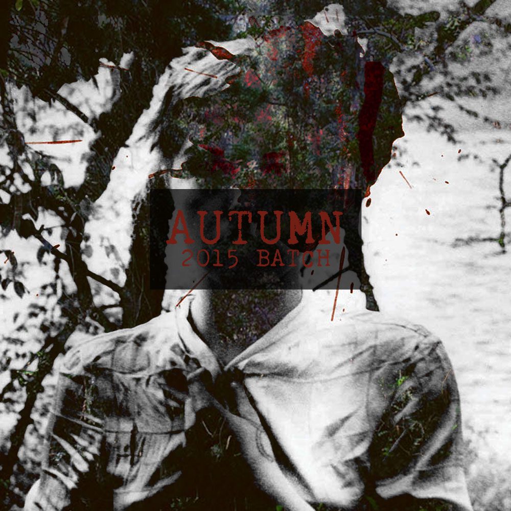 Autumn 2015 Batch